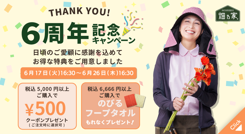 6thanniversary