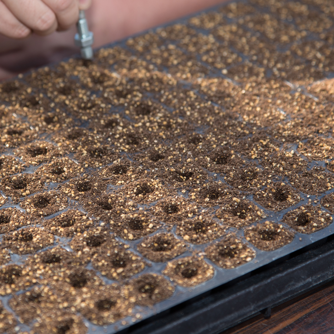 接触冷感アームカバー ロングタイプ2