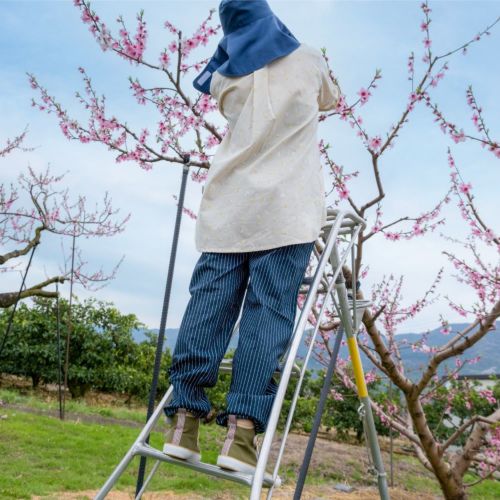 のらぱん （ウェア）| 畑のしごと服専門オンラインショップ「畑