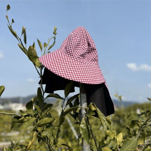 のらスタイル 農作業 帽子 農園フード 811B レディース UVカットが続く農帽 UVカット ガーデニング 家庭菜園 紫外線対策 - 制服、作業服